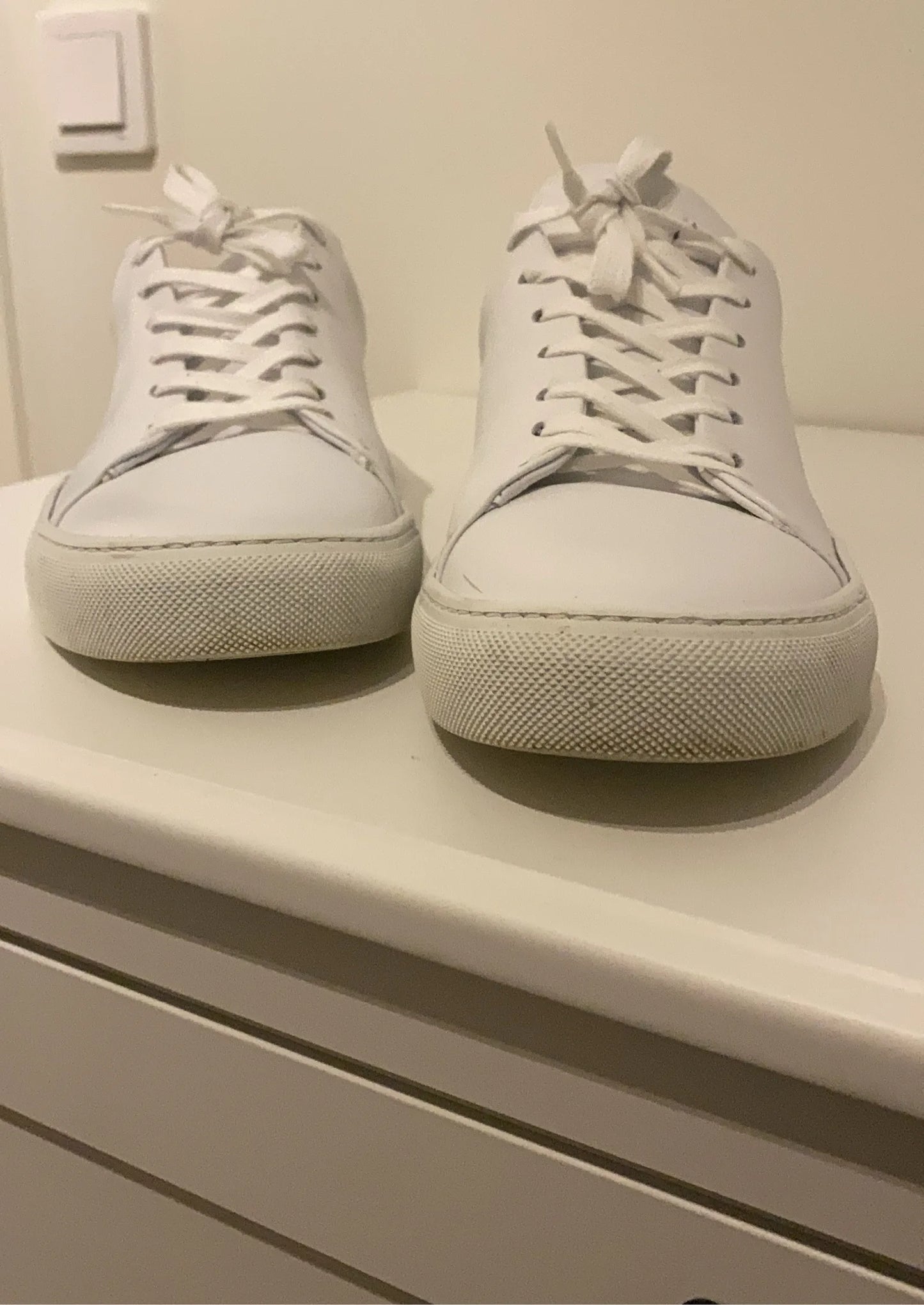 Sneaky Steve Sneakers