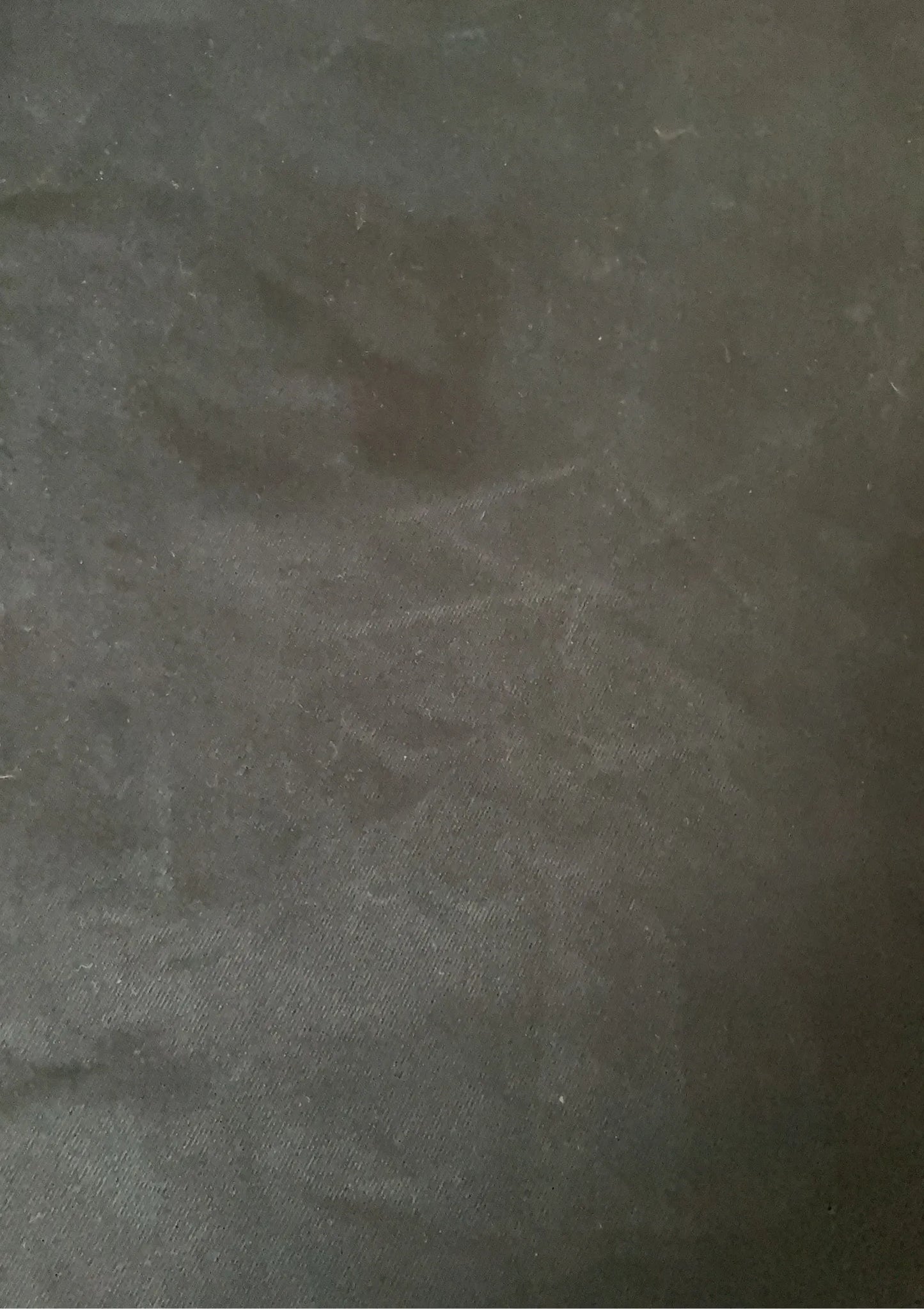 Asket The Loose Twill Trousers