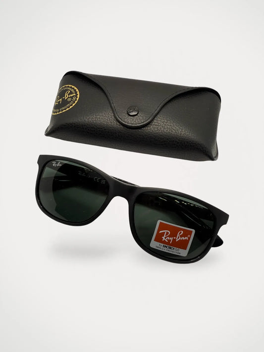 Ray-Ban Andy 4202-solglasögon NWT