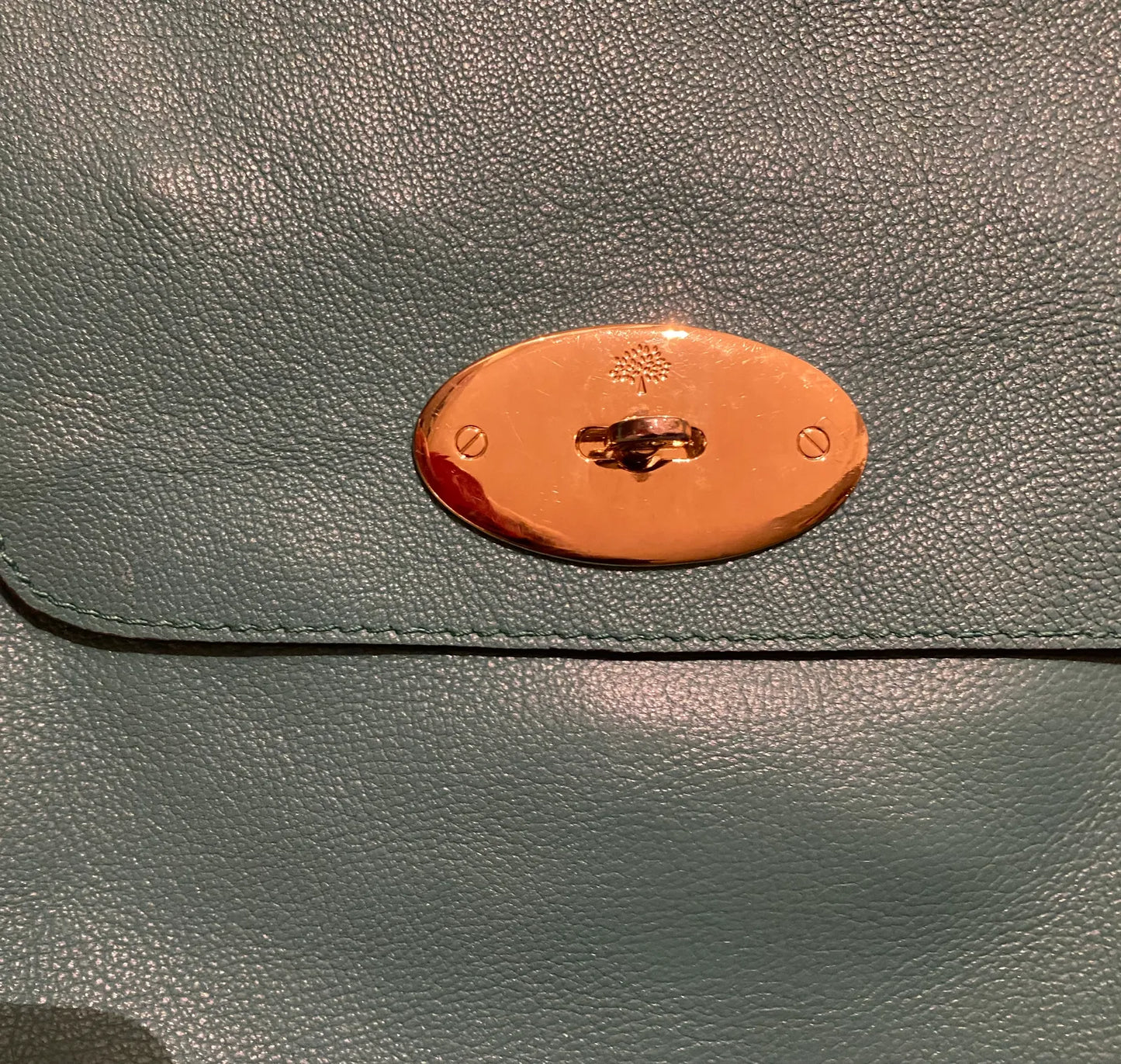 Mulberry-skinnhandväska NWOT