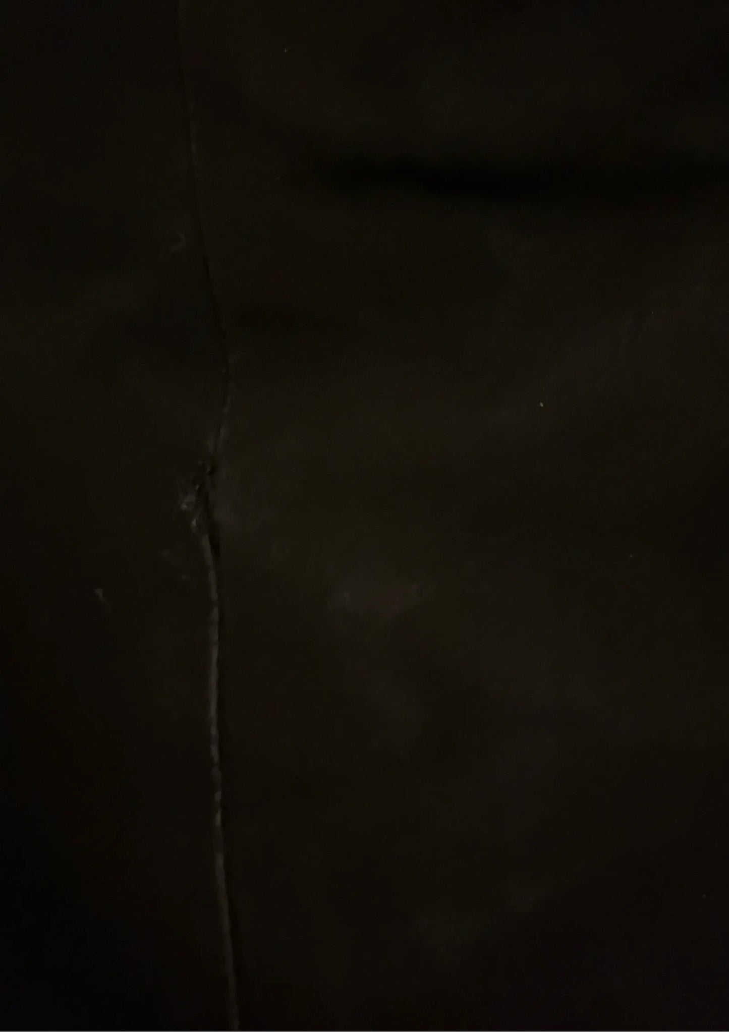 Canada Goose Puffer jacket