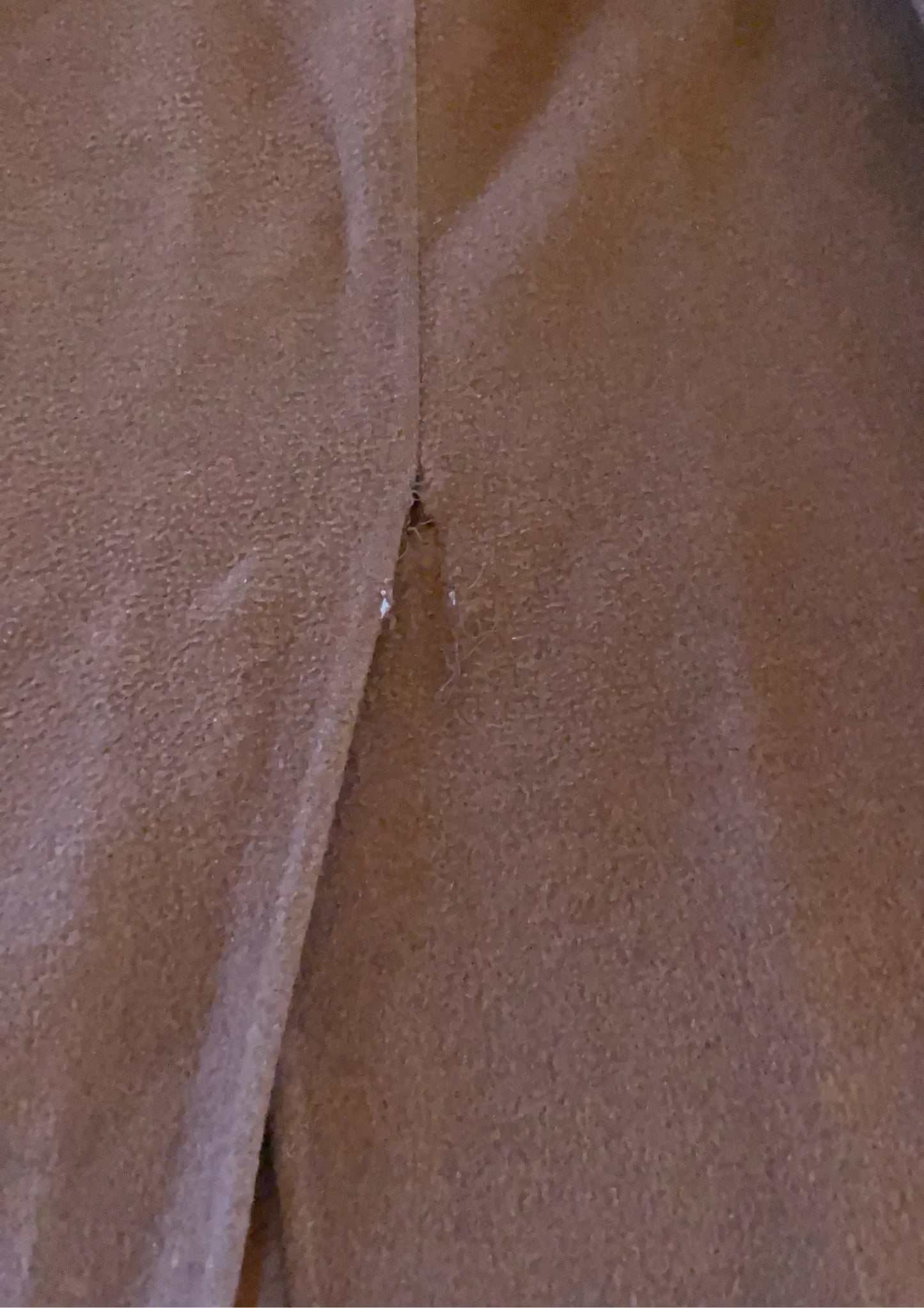 Acne Studios Fn-wn-outw000219 Coat