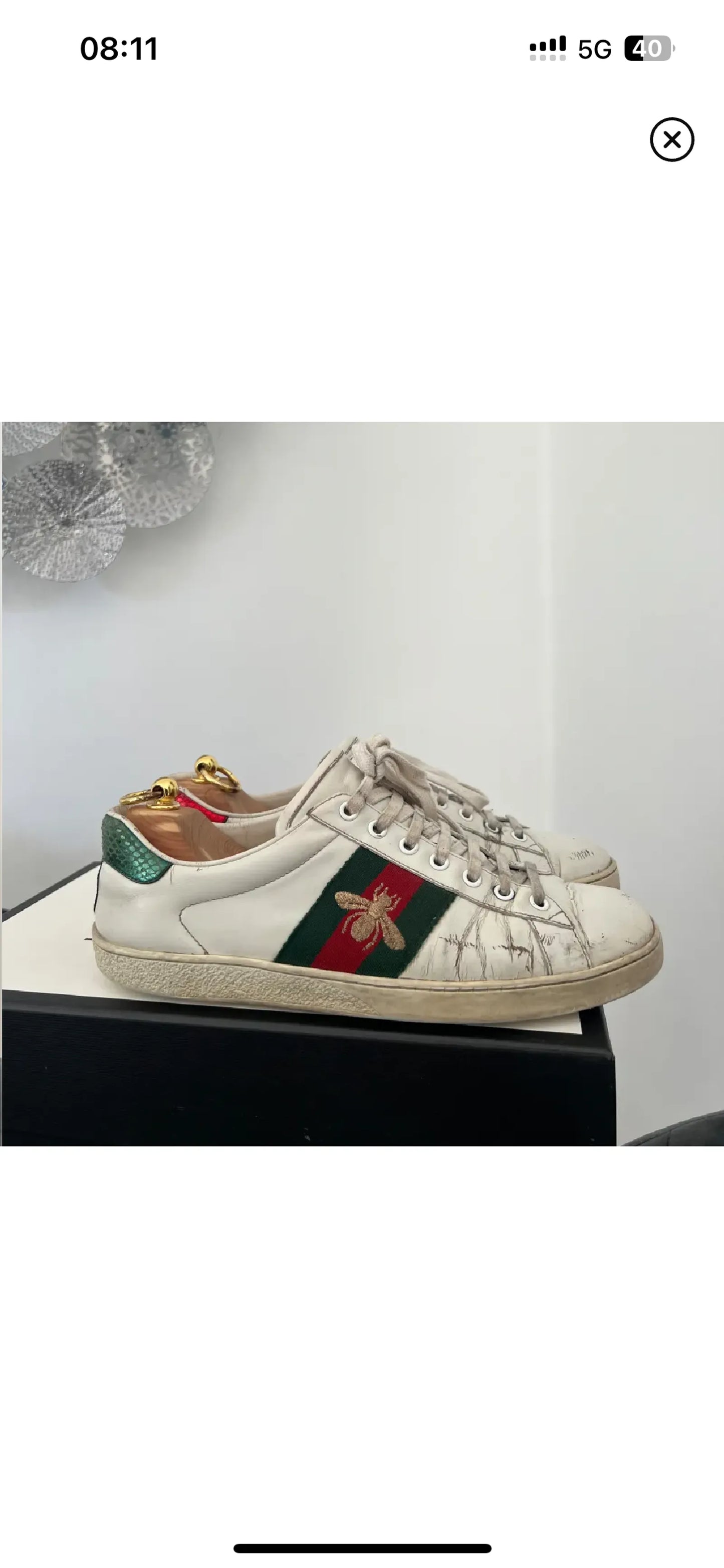 Gucci Ace Sneakers