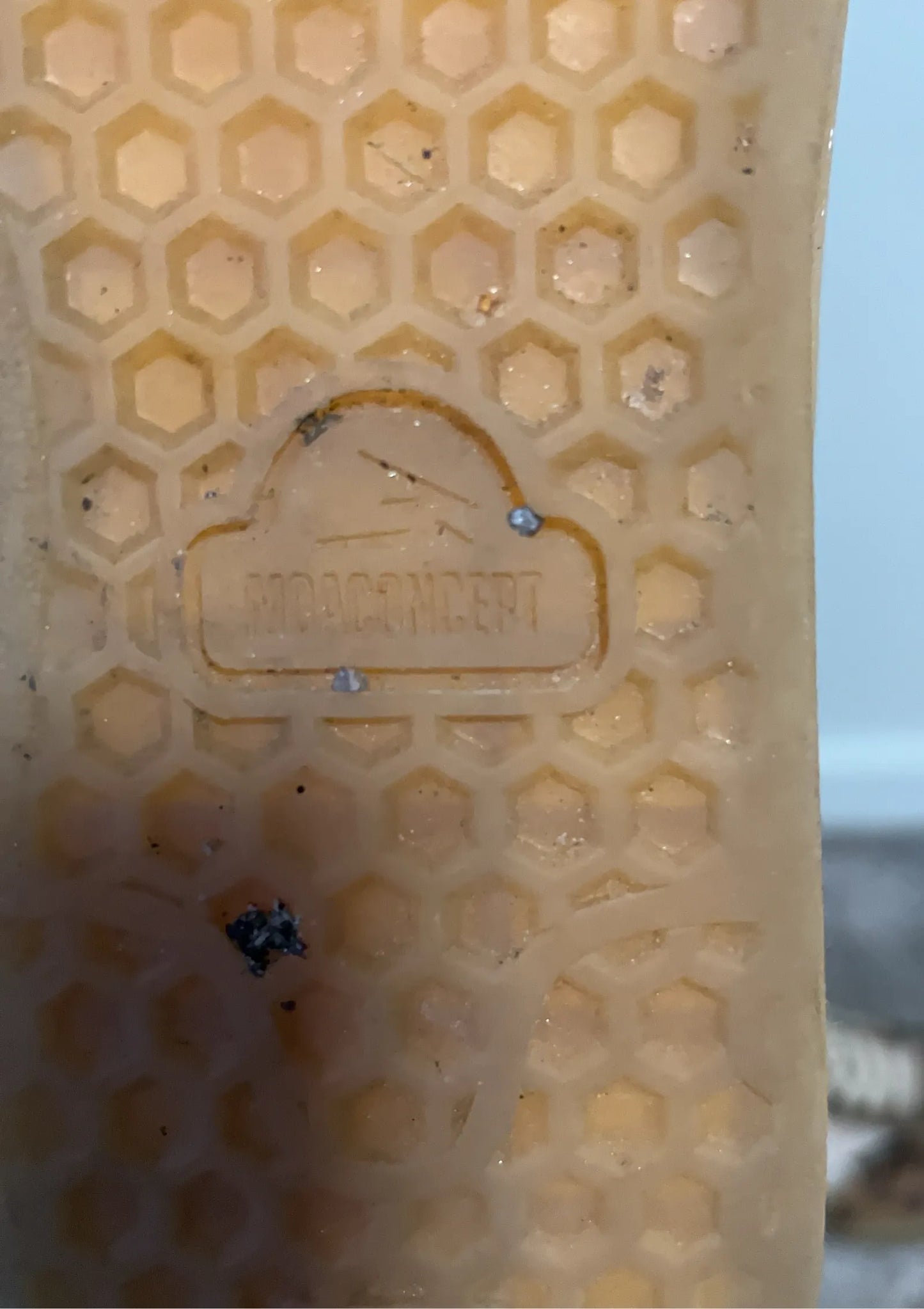 Leopard Print Club Delux Sneakers