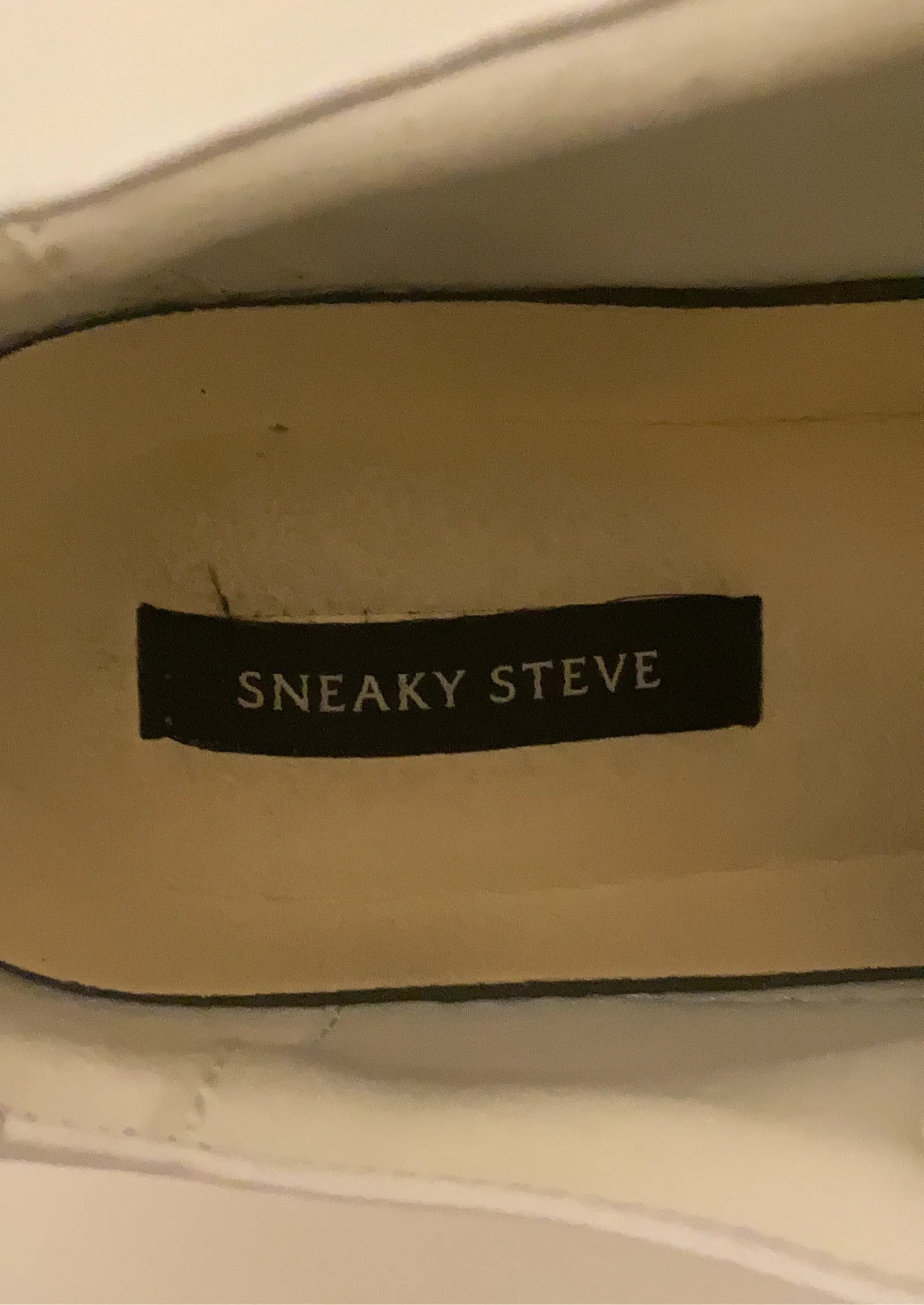 Sneaky Steve Sneakers
