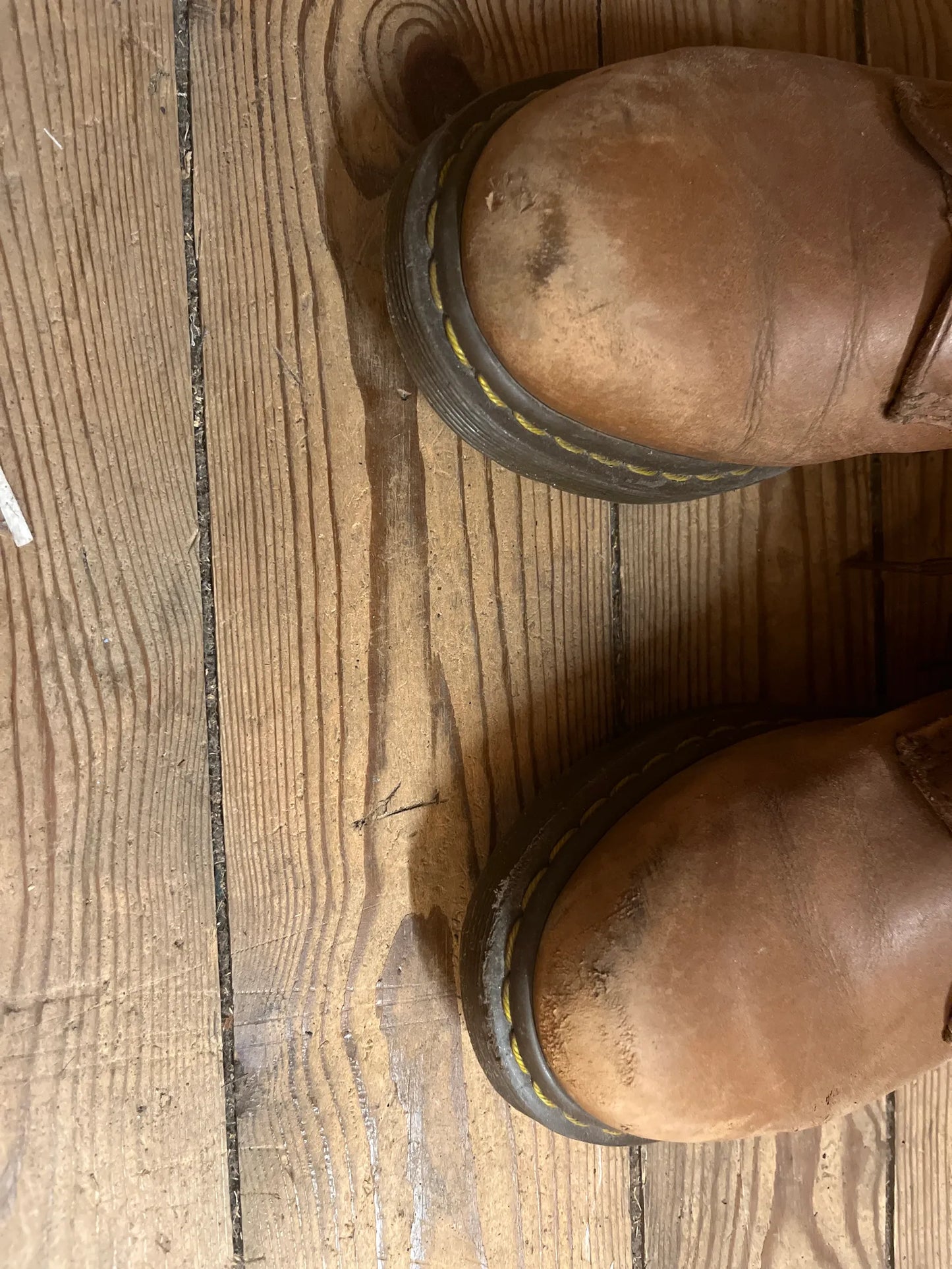 Dr. Martens 1460 Serena Färg: Butterscotch-skinnkängor