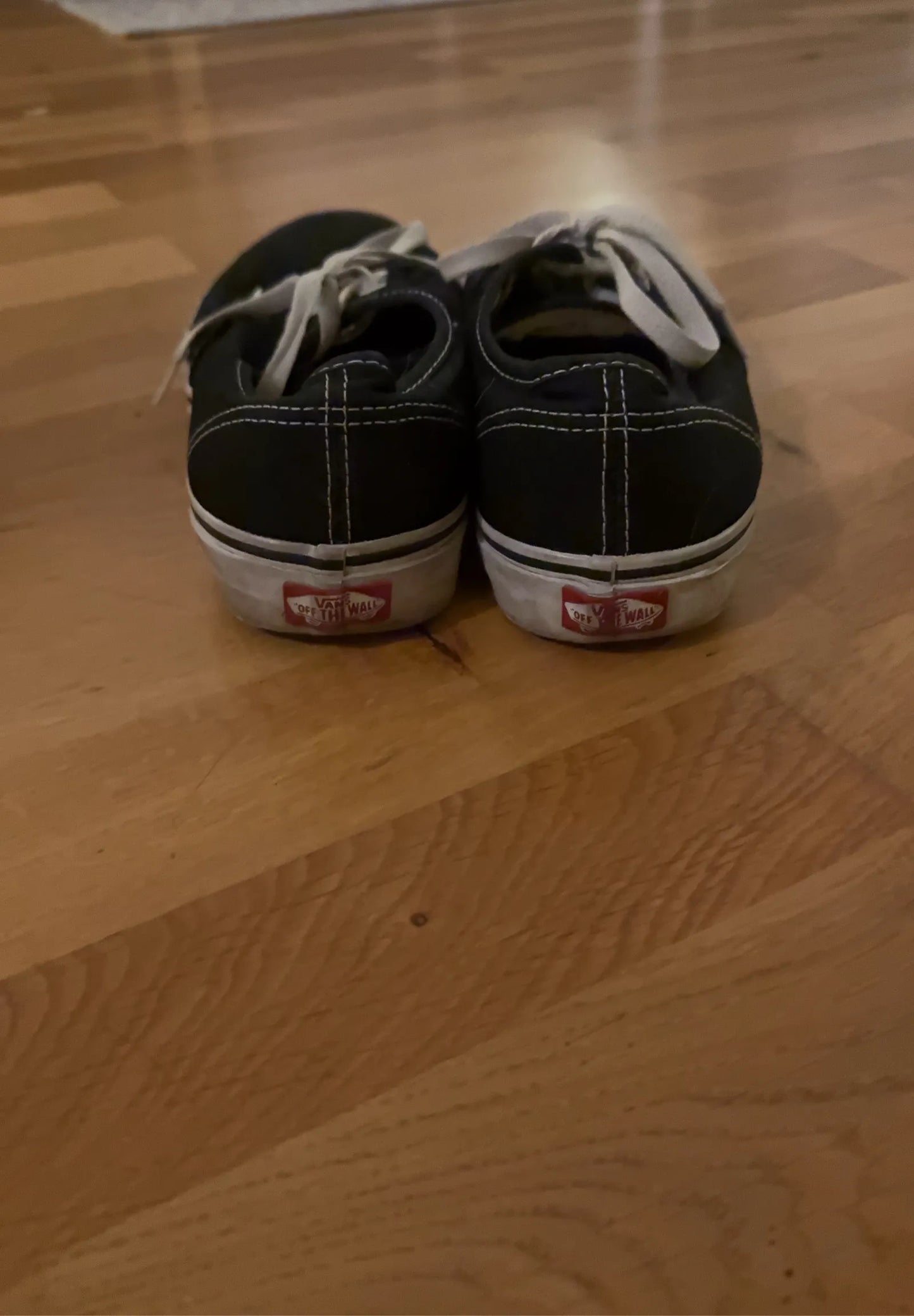 Vans Ua Authentic Sneakers