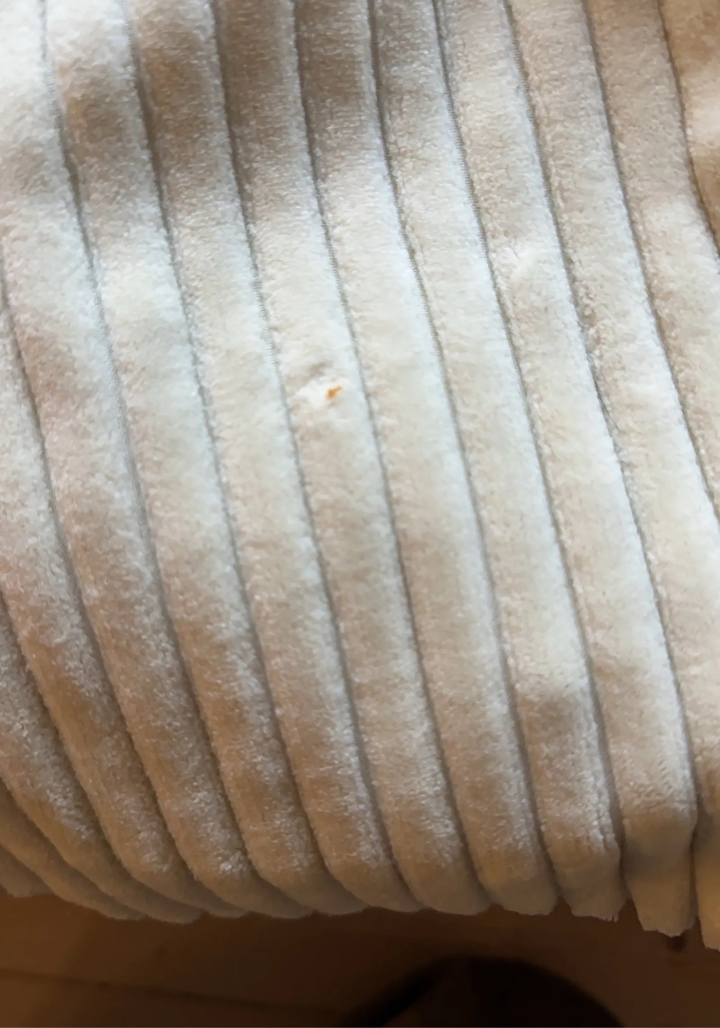 Samuji Fall Winter 2016 Blazer