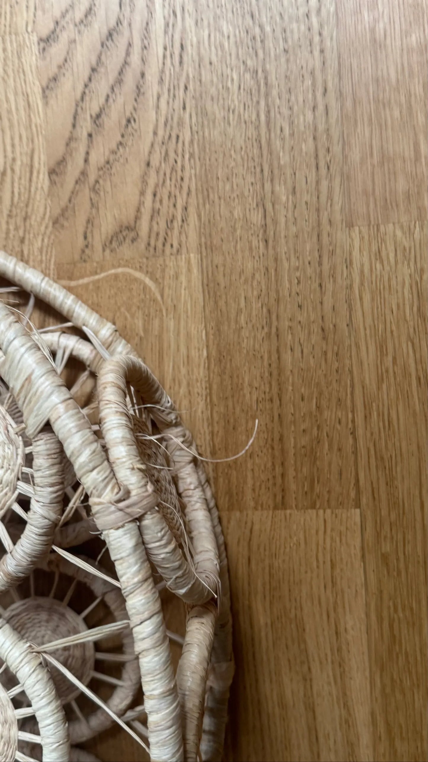 Cult Gaia Stella Straw Handbag