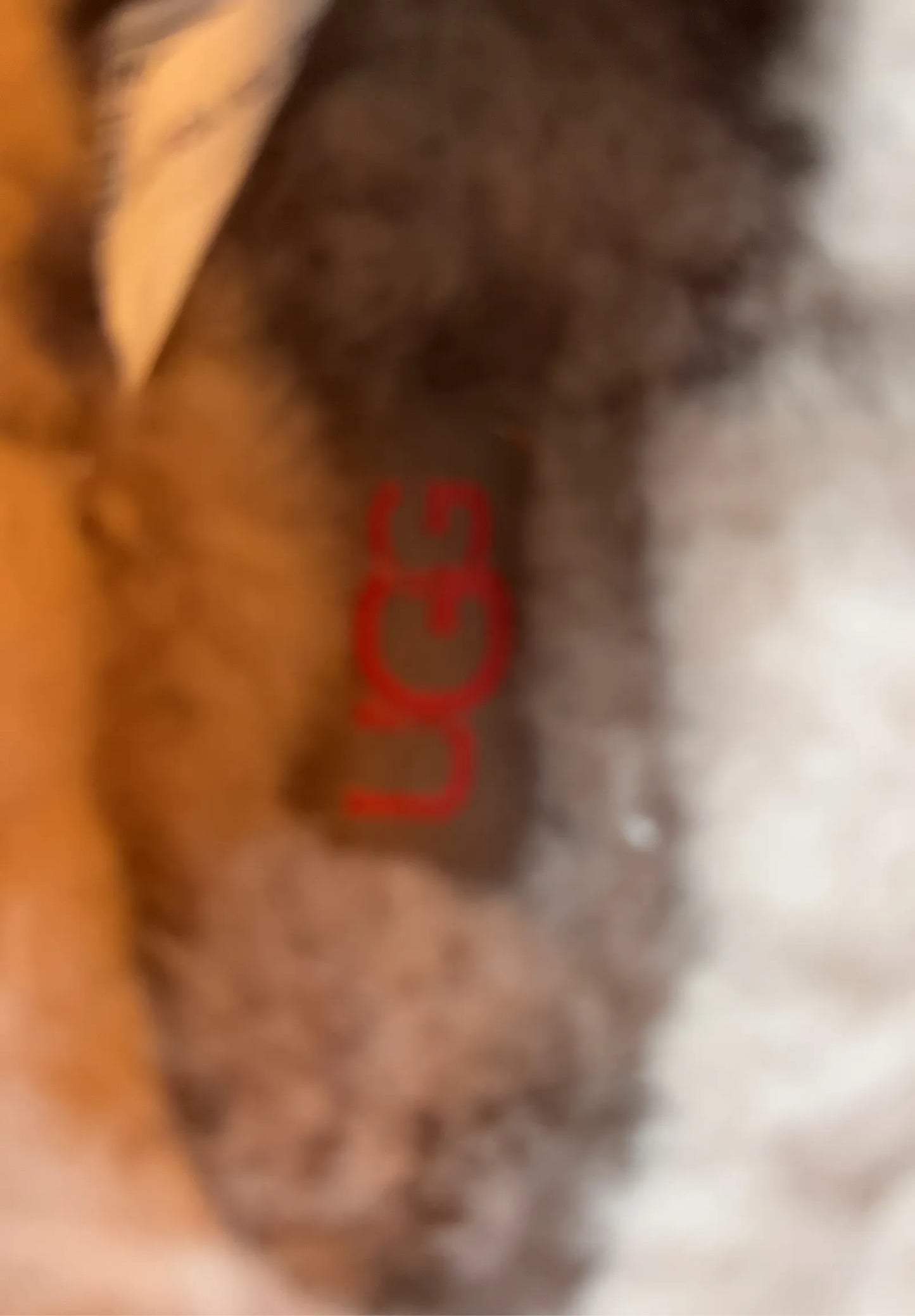 UGG W Tasman Ii Shoes