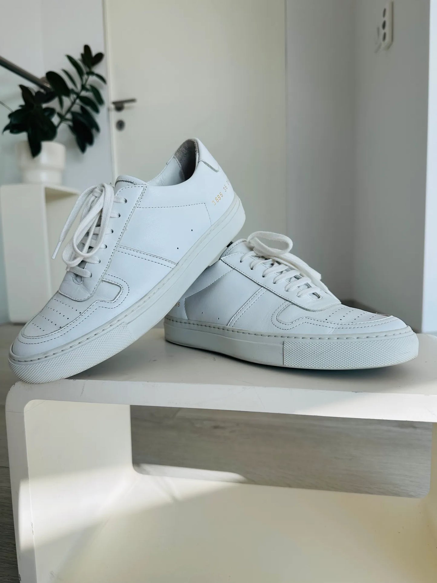 Common Projects-skinnsneakers