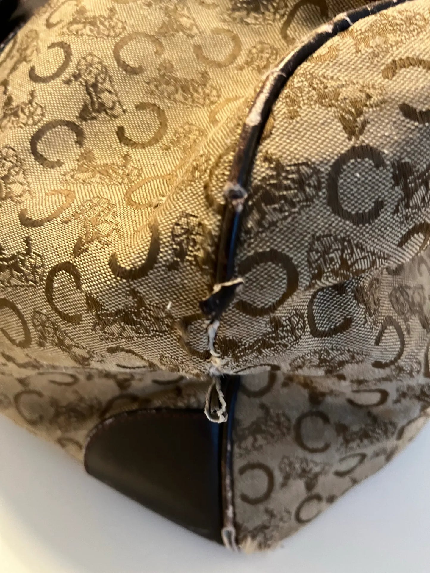 Céline-skinnresväska