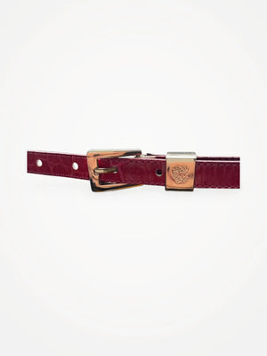 Tiger of Sweden Belt