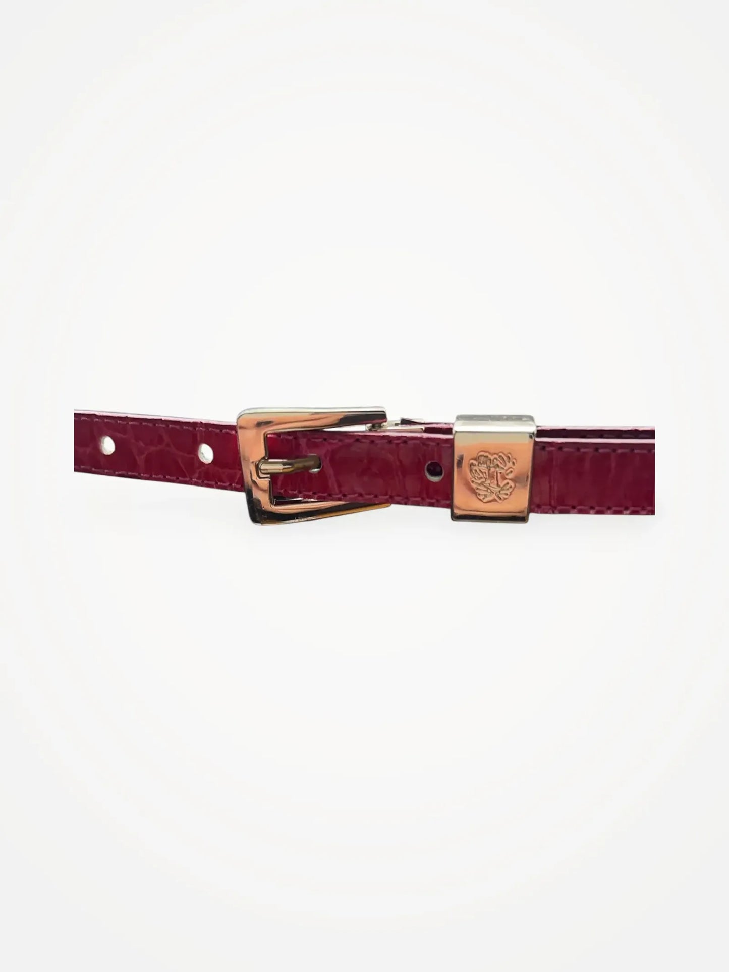 Tiger of Sweden Belt