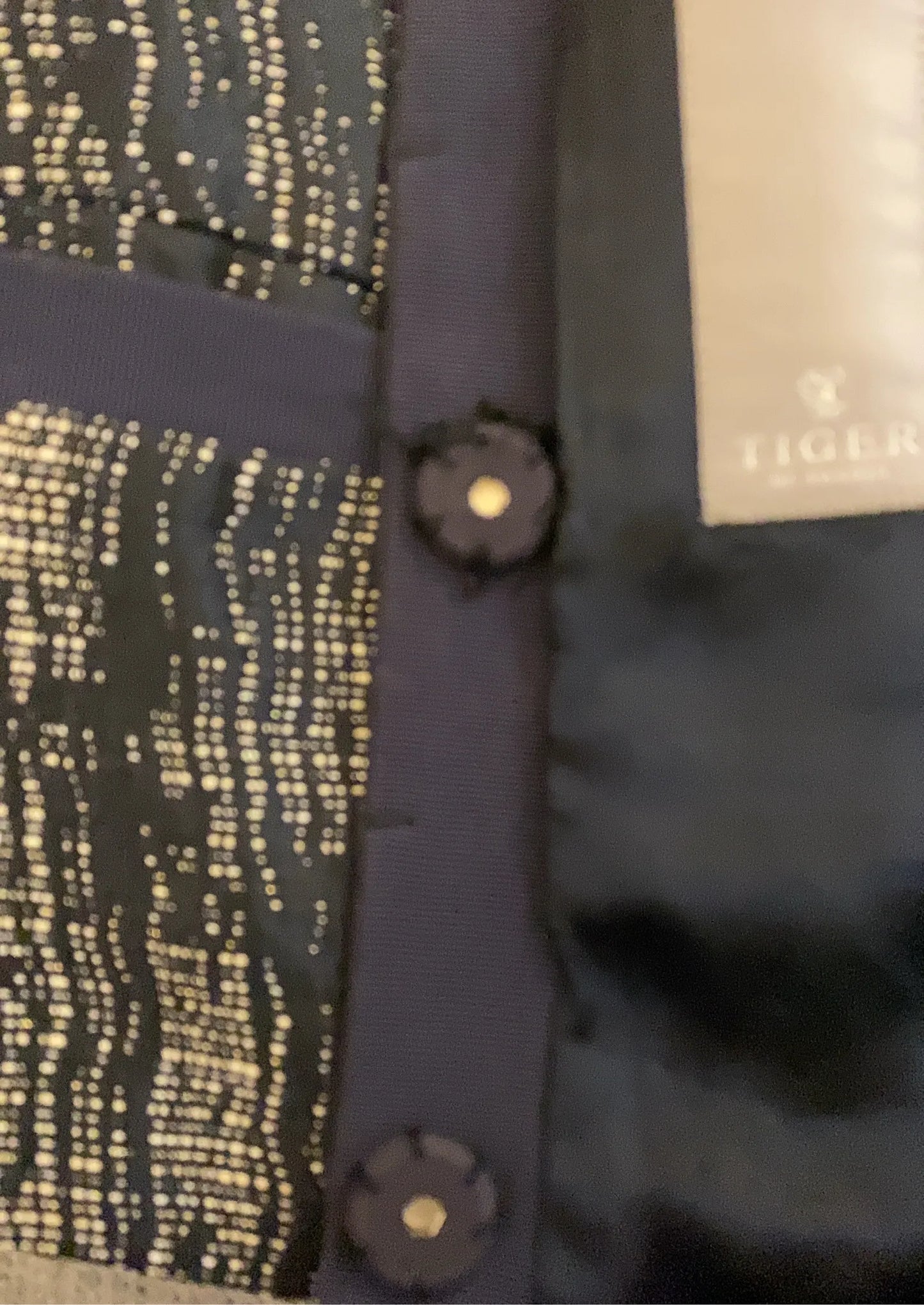 Tiger of Sweden Blazer