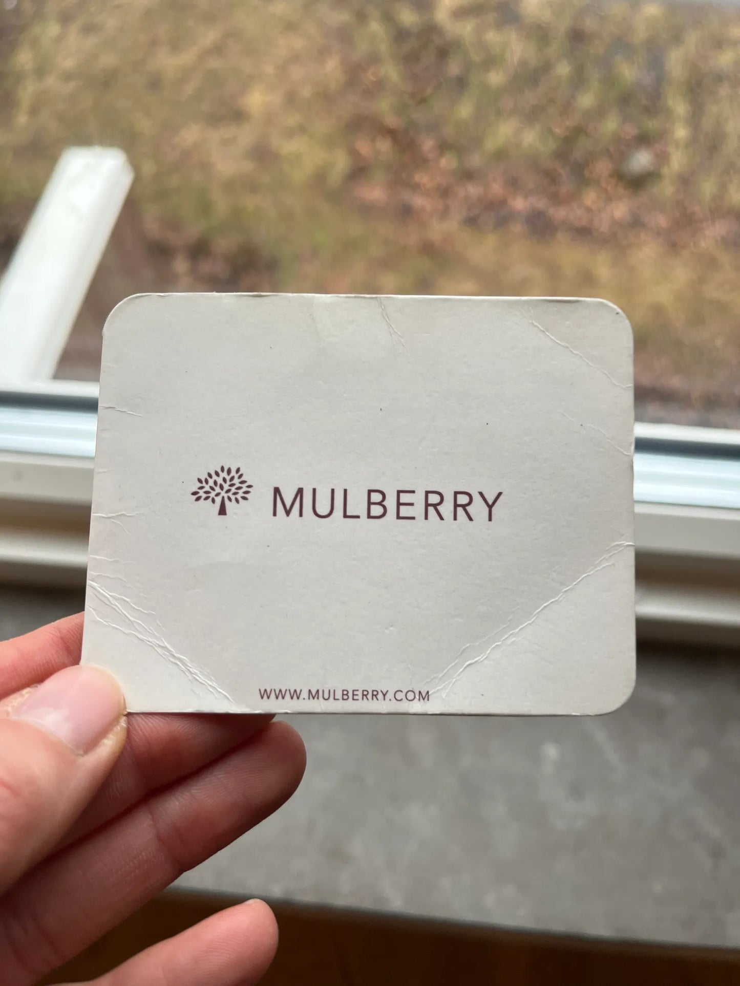 Mulberry-skinnaxelremsväska